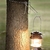 Soporte Gancho Para Farol Con Cadenas Para Camping - buy online