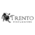 Pinza Trento Force 15 Funciones Acero Inox - tienda online