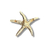 Broche estrela do mar azul - comprar online