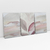 Imagem do Quadro Decorativo Abstact Pink Leaves Kit de 3 Quadros