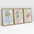 Quadro Decorativo Abstrato Botanical Flowers - Ana Ifanger - Kit de 3 Telas - loja online