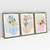 Quadro Decorativo Abstrato Botanical Flowers - Ana Ifanger - Kit de 3 Telas - loja online