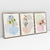 Quadro Decorativo Abstrato Botanical Flowers - Ana Ifanger - Kit de 3 Telas na internet