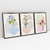 Quadro Decorativo Abstrato Botanical Flowers - Ana Ifanger - Kit de 3 Telas - Bimper - Quadros Decorativos