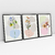 Quadro Decorativo Abstrato Botanical Flowers - Ana Ifanger - Kit de 3 Telas - loja online