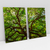 Quadro Decorativo Árvore Natureza Exposta Kit com 2 Quadros - comprar online