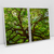 Quadro Decorativo Árvore Natureza Exposta Kit com 2 Quadros na internet