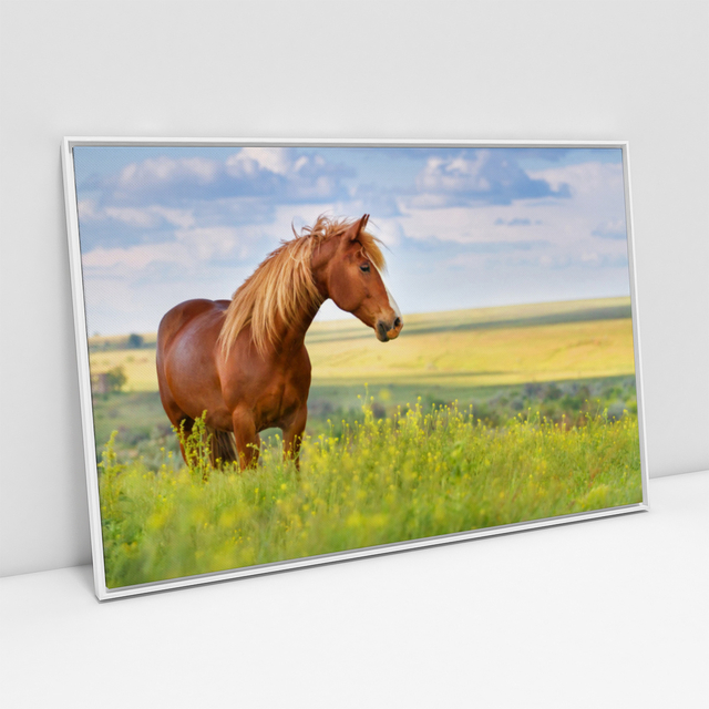 Quadro Decorativo 3D Cavalo Colorido Multicamada Em Madeira - Aimará Decor