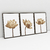 Quadro Decorativo Flores Delicadas Kit com 3 Quadros - loja online