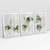 Quadro Decorativo Folhas Buquê Tropical Kit com 3 Quadros - Bimper - Quadros Decorativos