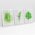 Quadro Decorativo Minimalistas de Folhas com Efeito de Pintura Kit com 3 Quadros - Bimper - Quadros Decorativos