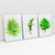 Quadro Decorativo Minimalistas de Folhas com Efeito de Pintura Kit com 3 Quadros