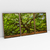 Quadro Decorativo Natureza Exposta Kit com 3 Quadros - loja online