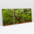 Quadro Decorativo Natureza Exposta Kit com 3 Quadros