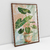 Quadro Decorativo Planta Alocasia em Boho Style - comprar online