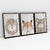 Quadro Decorativo Quarto Infantil Leão, Urso, Raposinha - Caroline Cerrato - Kit com 3 Quadros - Bimper - Quadros Decorativos