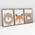 Quadro Decorativo Quarto Infantil Leão, Urso, Raposinha - Caroline Cerrato - Kit com 3 Quadros - loja online