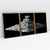 Quadro Decorativo Star Wars Nave Destroyer Estelar Kit com 3 Quadros - loja online