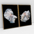 Quadro Decorativo White Betta Fishes Peixes Ornamentais Kit com 2 Quadros - loja online