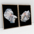 Quadro Decorativo White Betta Fishes Peixes Ornamentais Kit com 2 Quadros na internet