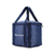 Bolsa Termica Azul Bag Freezer (25 litros)