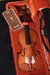 Violino Eagle VE-441 4/4 na internet