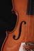 Violino Eagle VE-441 4/4 - Musical Cordas