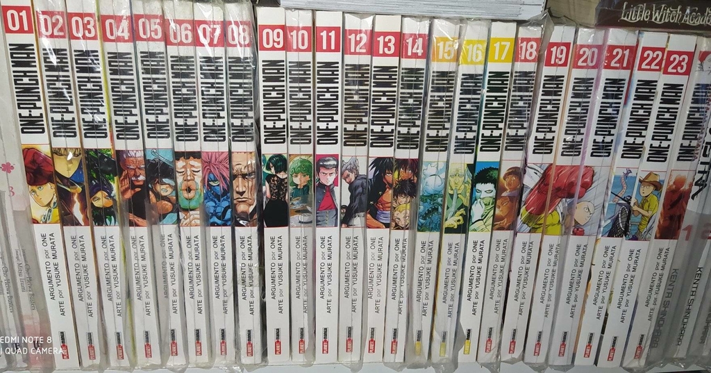 Coleção One Punch Man 1 a 23 + catalogo dos herois