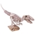 Desenterre um Dinossauro: T-Rex - loja online