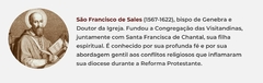 Banner da categoria São Francisco de Sales