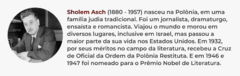 Banner da categoria Sholem Asch