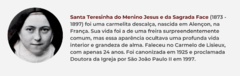 Banner da categoria Santa Teresinha do Menino Jesus