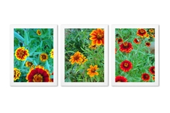 Kit 3 Quadros Flores Decoração Moldura e Vidro 30 x 40 cm SOB ENCOMENDA - comprar online
