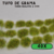 Tufo de Grama 3mm - Verde Realista na internet