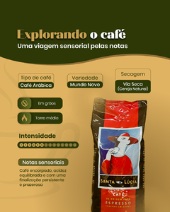 Café Santa Lúcia Origem Gourmet Grão - comprar online