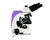 Microscópio Trinocular Laboratório Ampliação 1600X Escala Focagem Fina Pesquisas Mlt-300 Portátil Instrutherm na internet