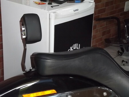 Mini 2024 sissy bar