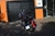 Suporte de placas lateral Harley Davidson Eixo Roda - comprar online