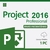project 2016 pro