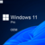 windows 11 pro