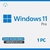 windows 11 pro