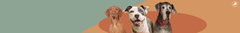 Banner de la categoría PERRO