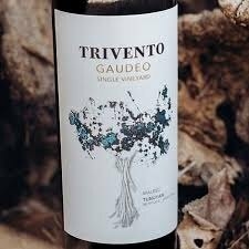 Trivento Gaudeo Single Vineyard Tupungato 2016 - comprar online