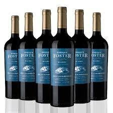 ENRIQUE FOSTER SINGLE VINEYARD LOS BARRANCOS Malbec 2022