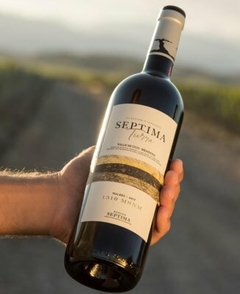 Séptima Tierra Malbec - Selección De Terruños Gualtallary en internet