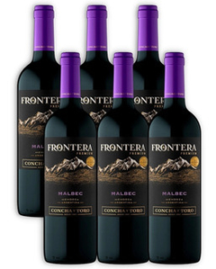 Frontera Malbec / Concha y Toro / caja por 6 botellas - comprar online