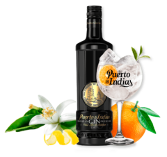 Gin Puerto De Indias Pure Black Edition 700 Ml
