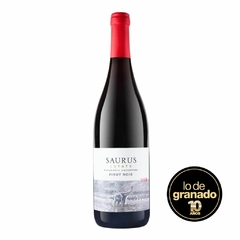 Saurus Select Malbec - Patagonia Argentina - comprar online