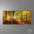 Trio de Quadros Caminho da Floresta Árvores e Pôr do Sol - Artiva Quadros - Quadros Decorativos e Quadros Grandes Personalizados