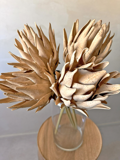 PROTEA FECHADA - SIMPLE - loja online